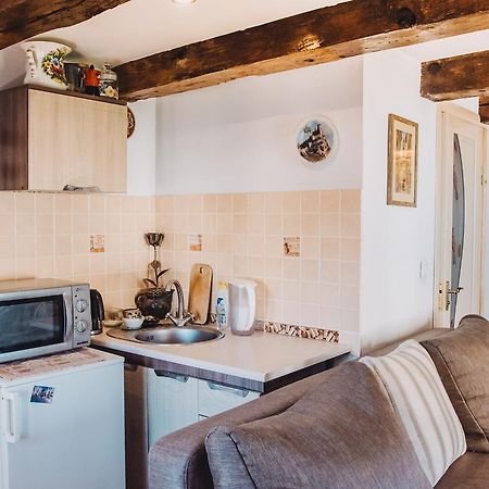 Lviv Amazing Rooftop Apartment المظهر الخارجي الصورة