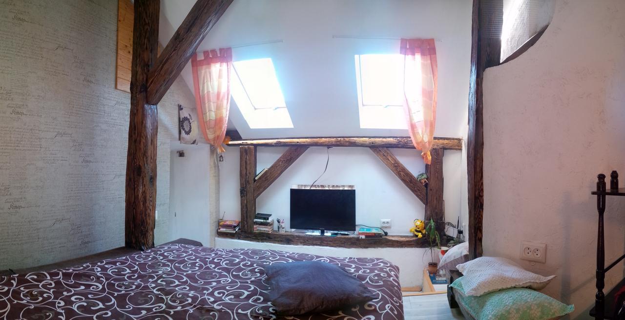 Lviv Amazing Rooftop Apartment المظهر الخارجي الصورة