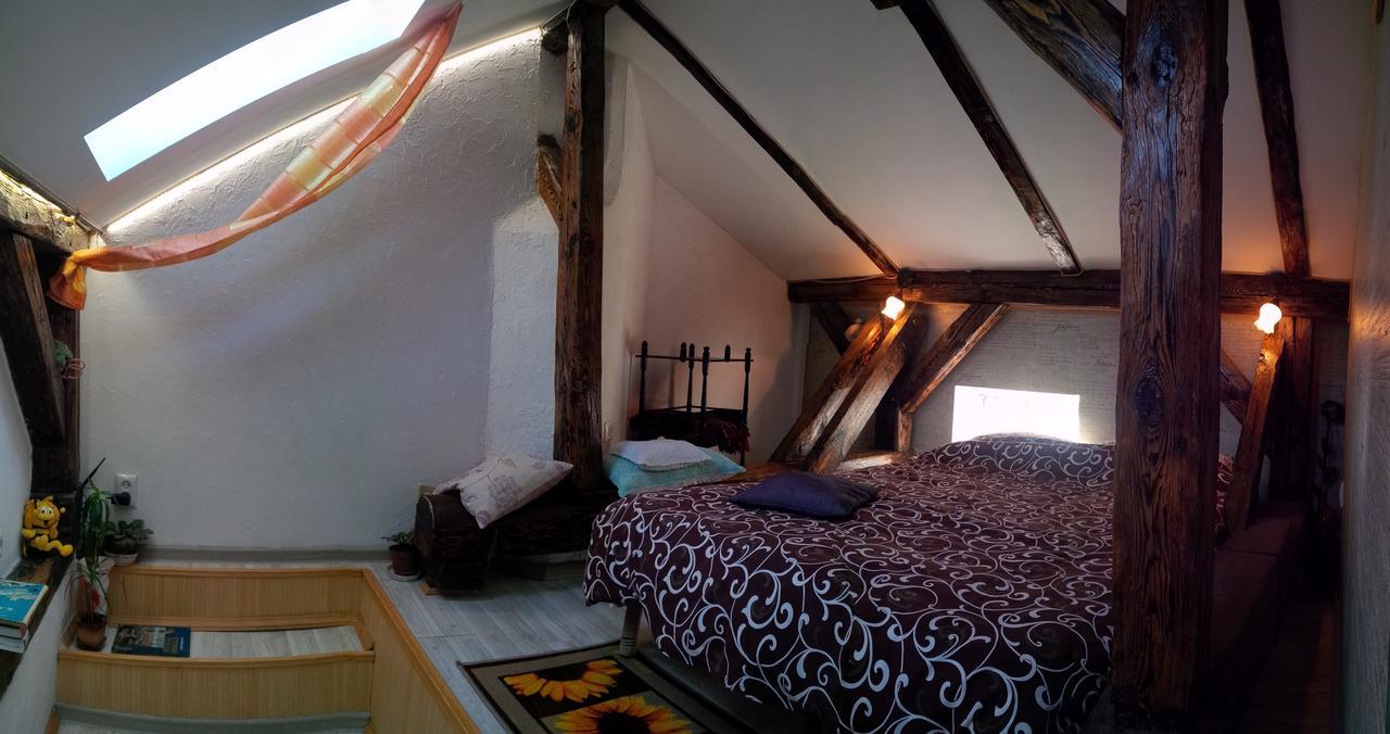 Lviv Amazing Rooftop Apartment المظهر الخارجي الصورة