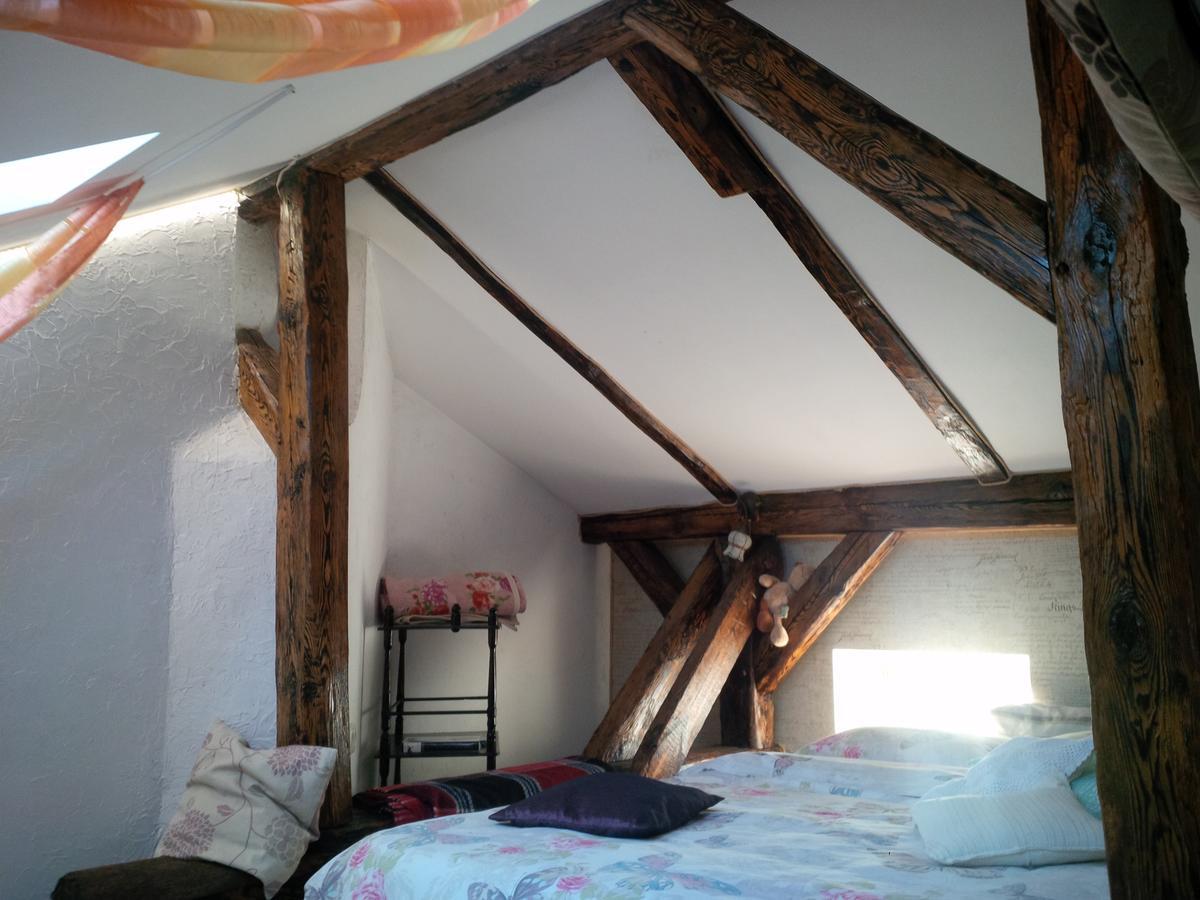 Lviv Amazing Rooftop Apartment المظهر الخارجي الصورة