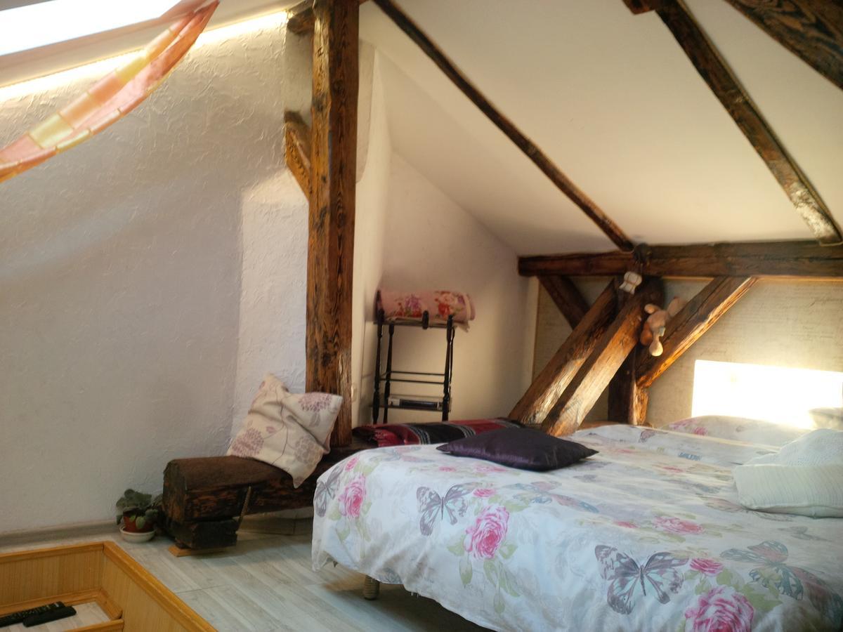 Lviv Amazing Rooftop Apartment المظهر الخارجي الصورة
