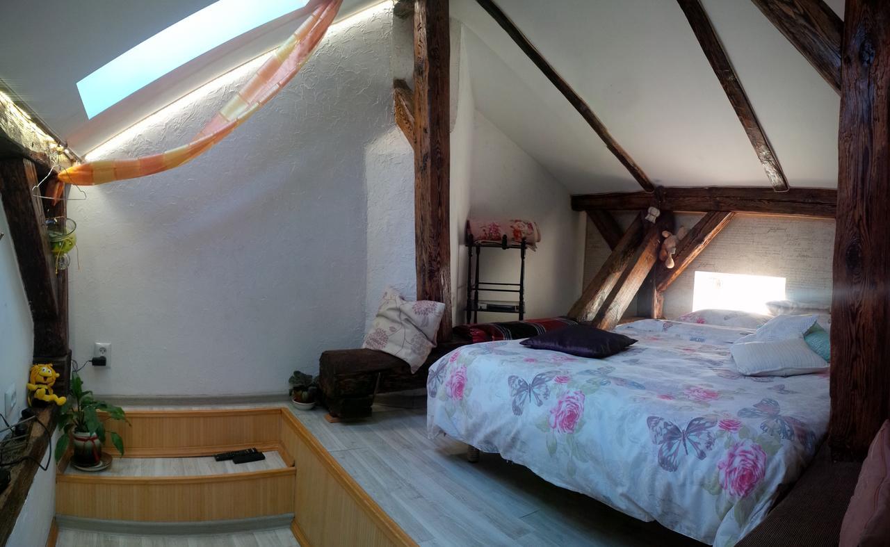 Lviv Amazing Rooftop Apartment المظهر الخارجي الصورة