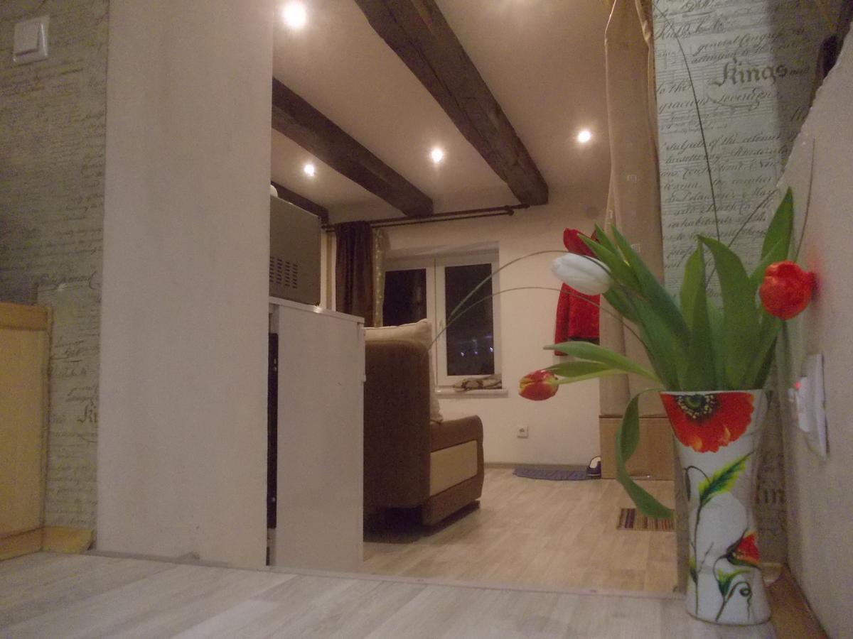 Lviv Amazing Rooftop Apartment المظهر الخارجي الصورة
