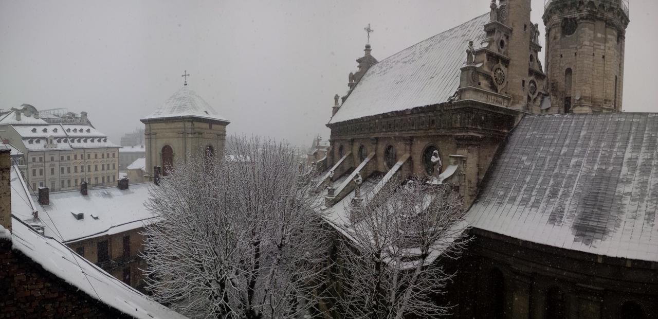 Lviv Amazing Rooftop Apartment المظهر الخارجي الصورة