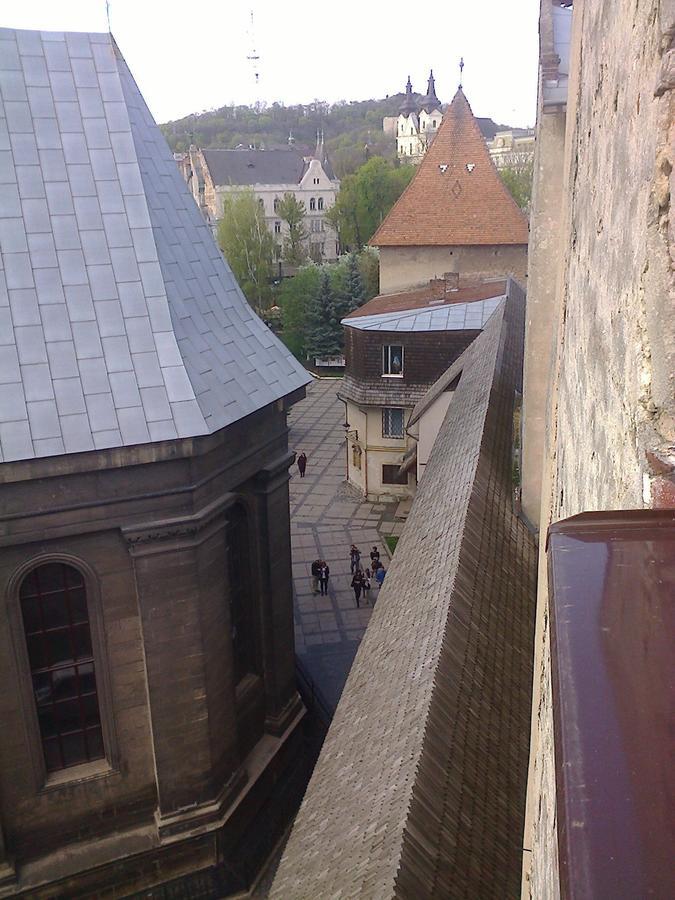 Lviv Amazing Rooftop Apartment المظهر الخارجي الصورة