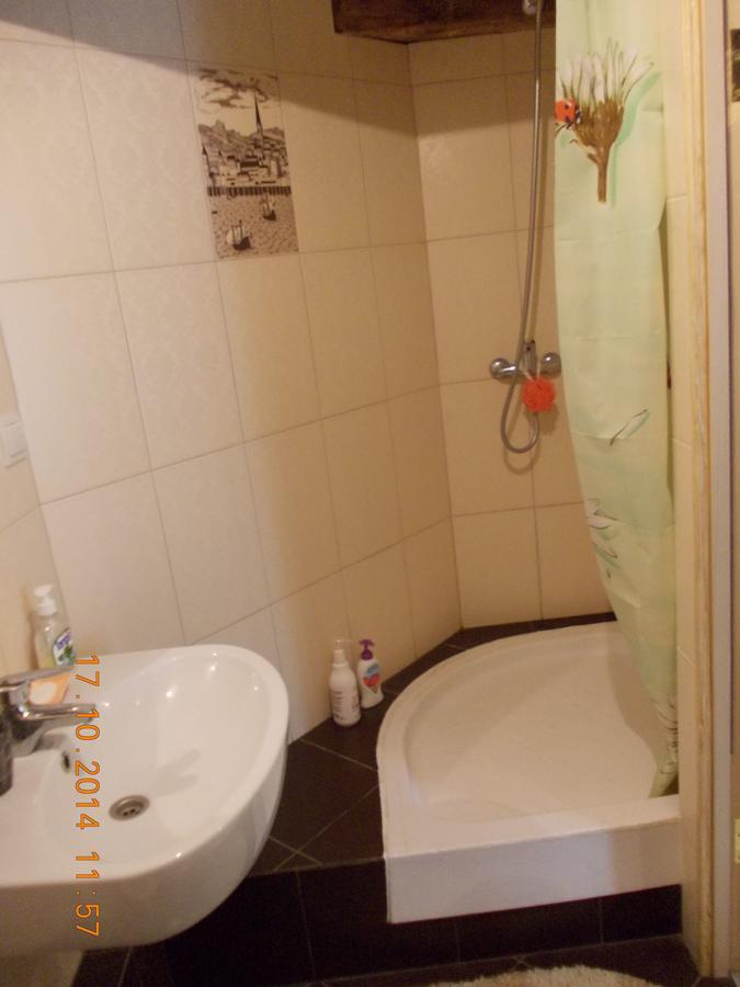 Lviv Amazing Rooftop Apartment المظهر الخارجي الصورة