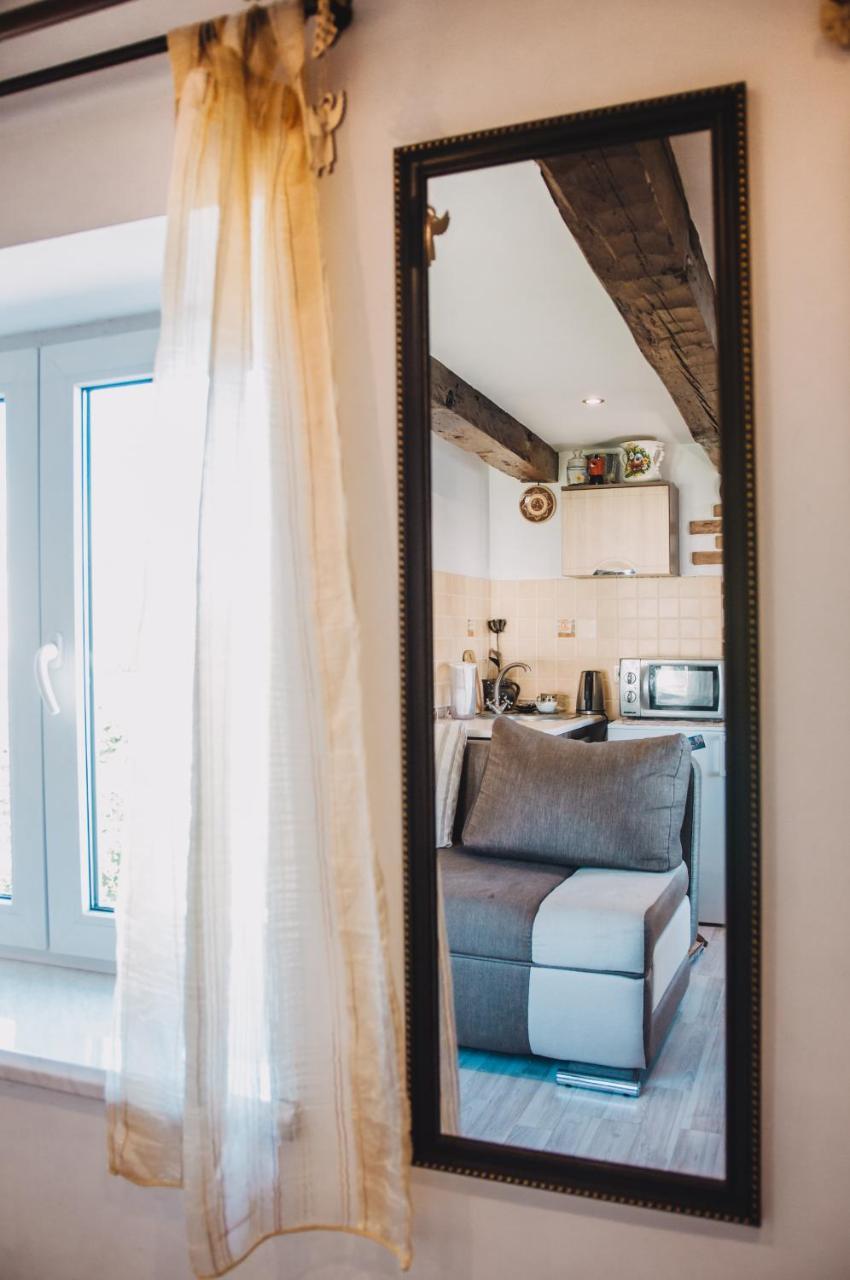 Lviv Amazing Rooftop Apartment المظهر الخارجي الصورة